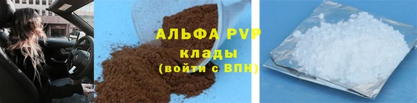 мяу мяу мука Абаза