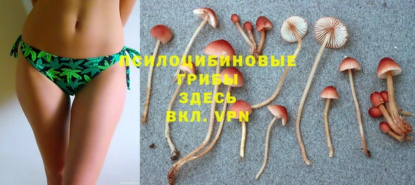 мяу мяу мука Абаза