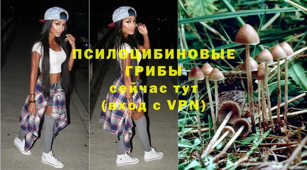 бошки Абдулино