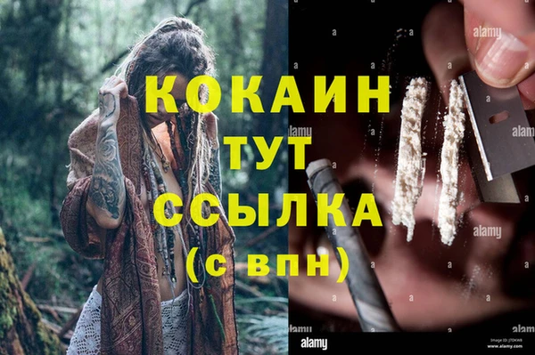 мяу мяу мука Абаза